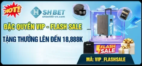 Khám Phá Các Chương Trình Khuyến Mãi Tại SHBET80